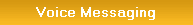 Voice Messaging